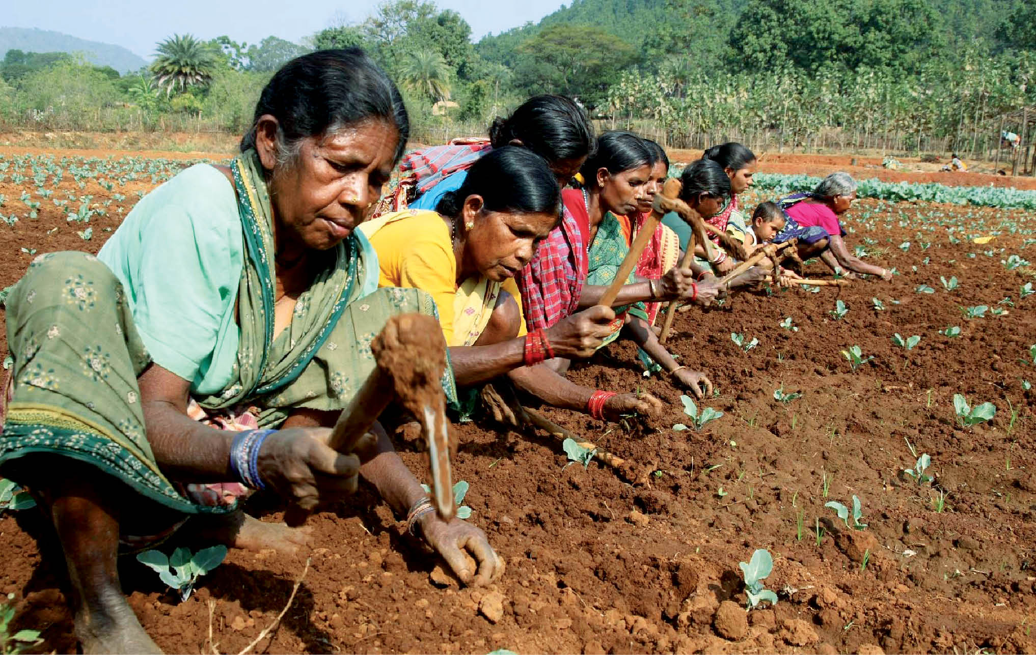 Organic Update